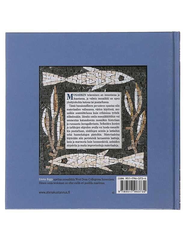 Mosaiikki : materiaalit, tekniikat, työvälineet - Emma Biggs - Taide- ja kulttuurikirjat - 10105508247 - 1