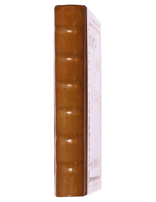 Perinnekirja Joroinen - Häyrinen, Martti - Historiakirjat - 10105508261 - 1