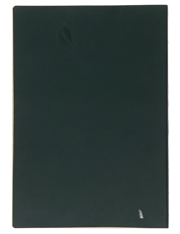 Suomen kirjastojen luettelointisäännöt - Tietokirjat - 10105508436 - 1