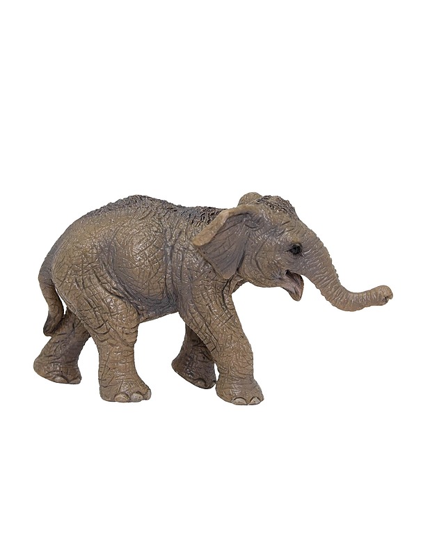 SCHLEICH aasiannorsun poikanen figuuri - Lasten figuurit - 10105508527 - 0