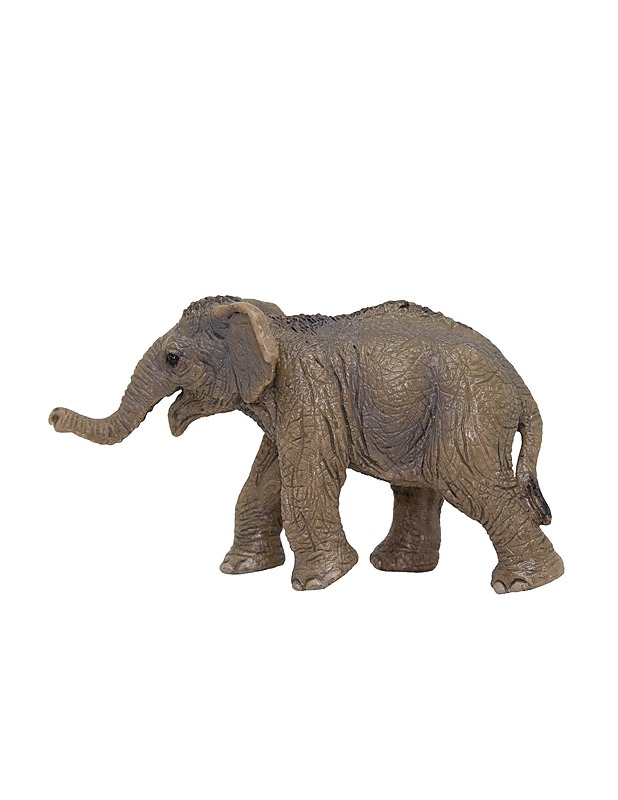 SCHLEICH aasiannorsun poikanen figuuri - Lasten figuurit - 10105508527 - 1