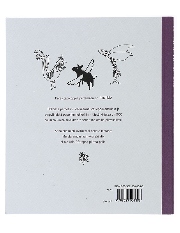 20 tapaa piirtää pöllö ja 44 muuta siivekästä - Dalziel, Trina - Lastenkirjat - 10105508552 - 1