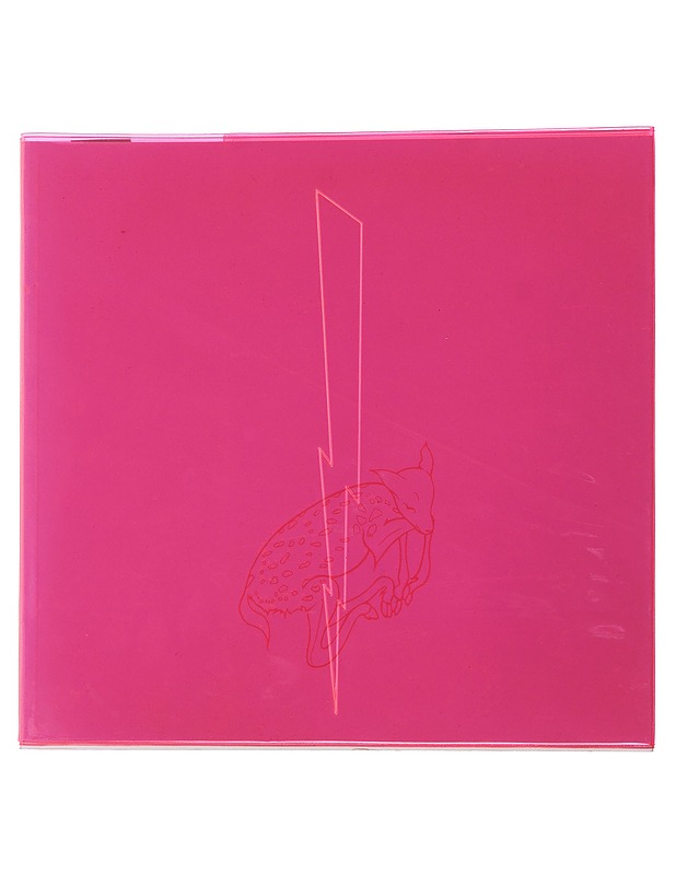 Ana Laura - Taide- ja kulttuurikirjat - 10105508904 - 0