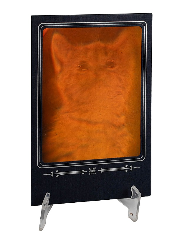 TALLINN 3D kissakuva - Askartelu - 10105508979 - 0