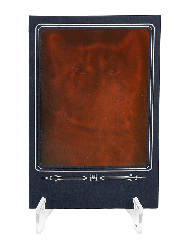 TALLINN 3D kissakuva - Askartelu - 10105508979 - 1