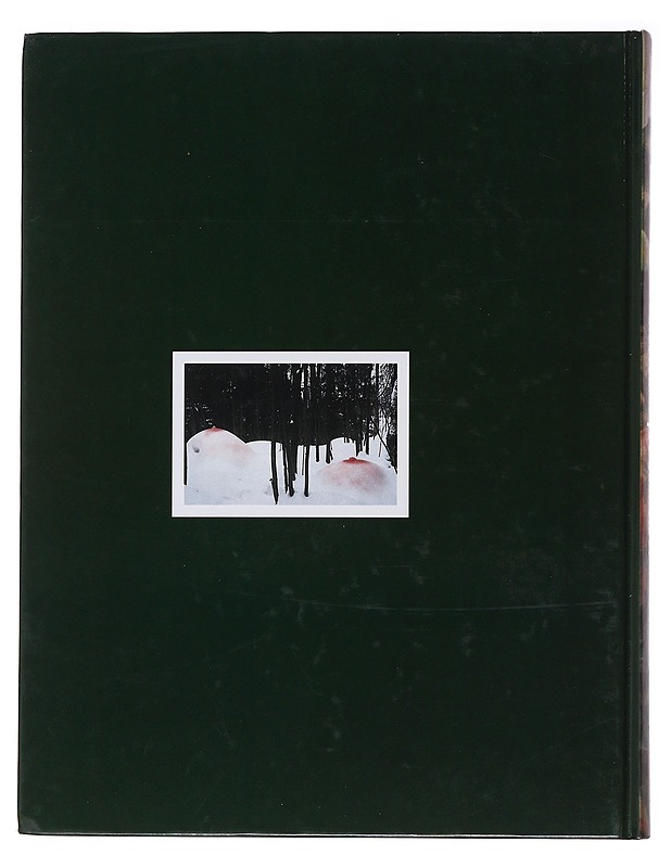 Alastomat ja naamioidut : naisen kuva suomalaisessa taiteessa - Hentinen, Arja - Historiakirjat - 10105509525 - 1