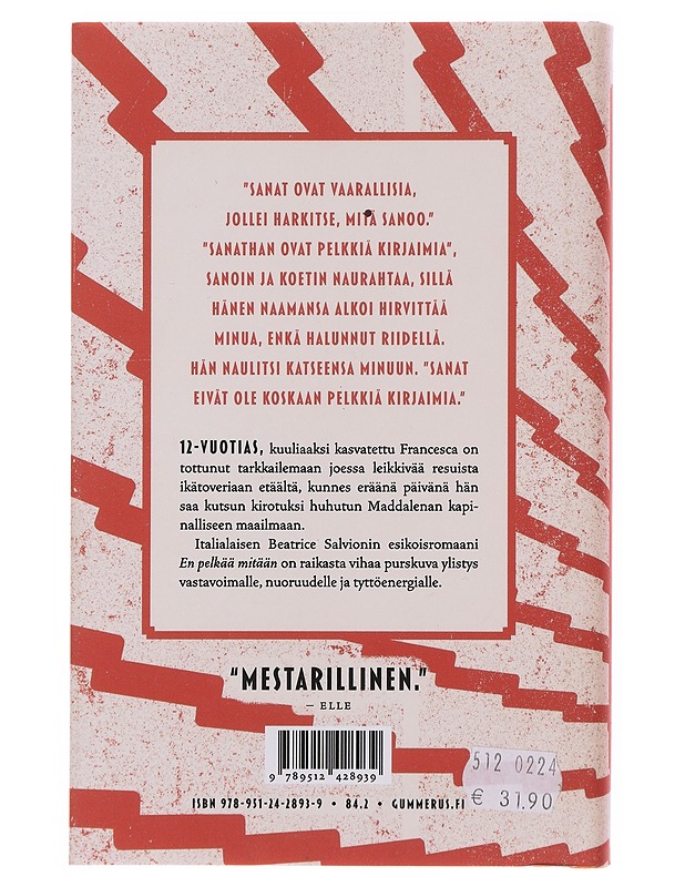 En pelkää mitään - Salvioni, Beatrice - Romaanit ja novellit - 10105509770 - 1