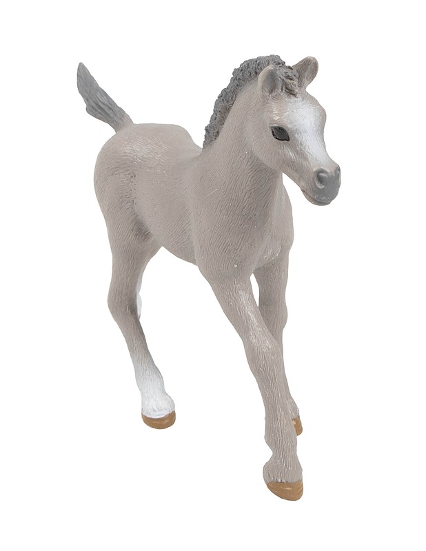 SCHLEICH Ranskanpuoliverinen varsa figuuri - Lasten lelut - 10105509781 - 0