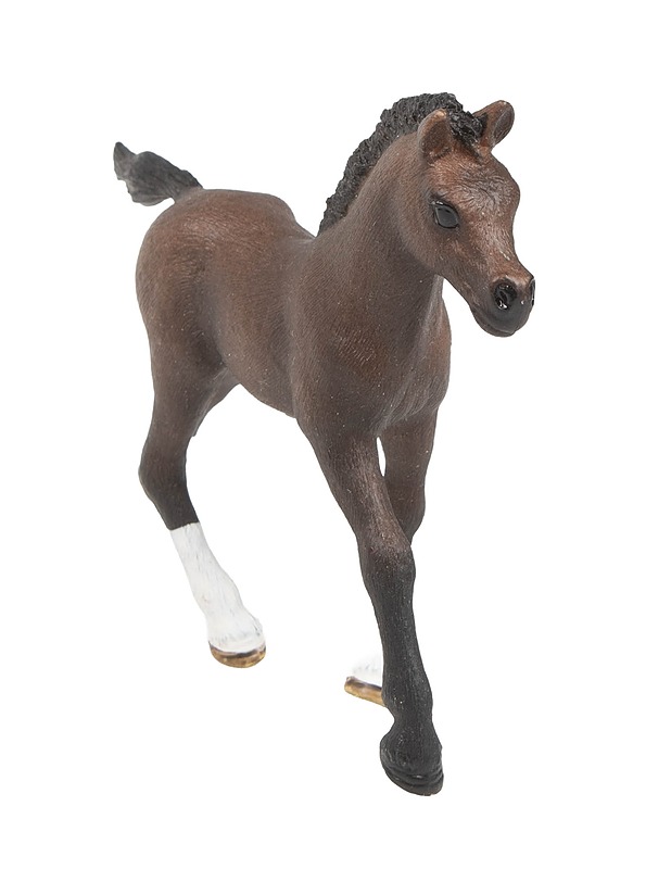 SCHLEICH Arabianhevonen varsa figuuri - Lasten lelut - 10105509809 - 0