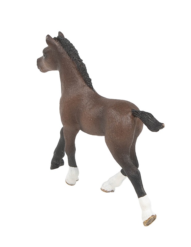 SCHLEICH Arabianhevonen varsa figuuri - Lasten lelut - 10105509809 - 1
