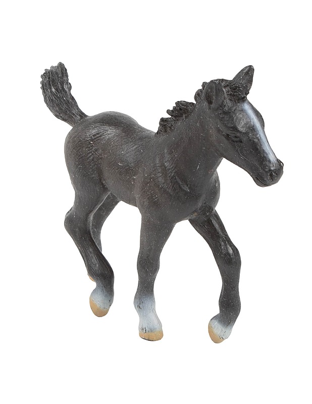 SCHLEICH Lipizzanhevonen varsa figuuri - Lasten lelut - 10105509834 - 0