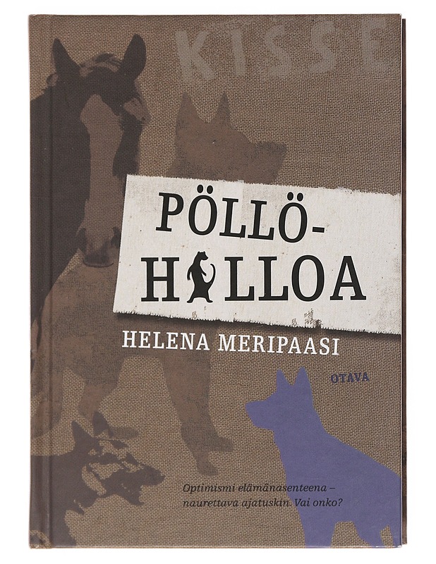 Pöllöhilloa - Helena Meripaasi - Nuorten kirjat - 10105509856 - 0