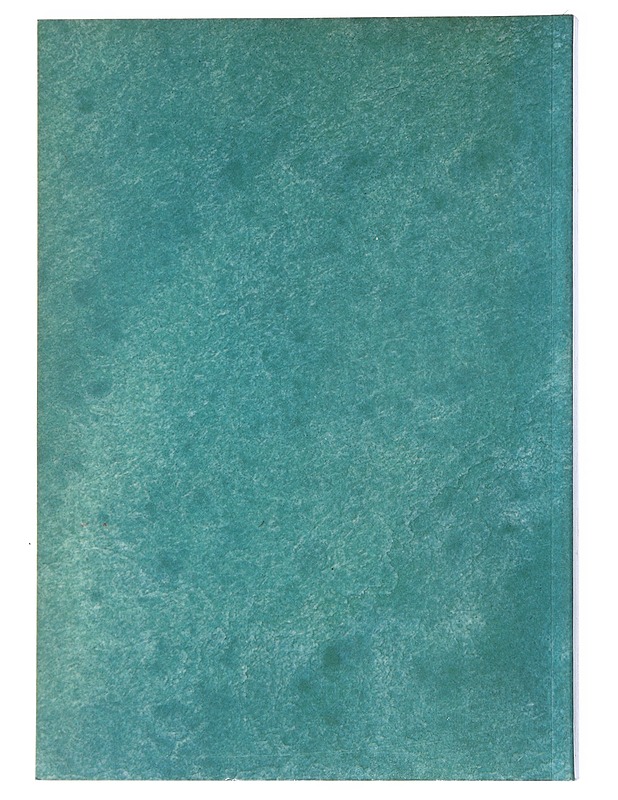 Joseph Beuys : piirustuksia - Bastian, Heiner - Taide- ja kulttuurikirjat - 10105509950 - 1