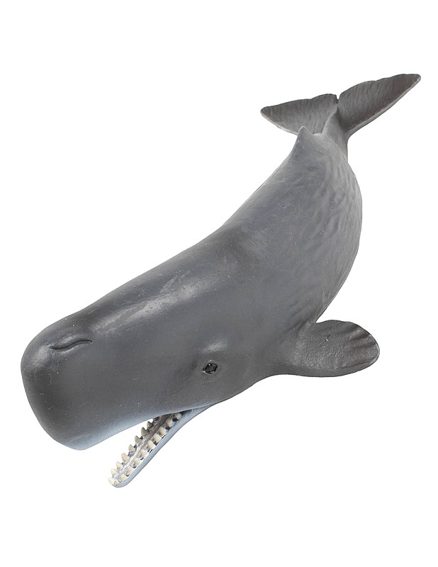 SCHLEICH kaskelotti figuuri - Lasten lelut - 10105510067 - 0