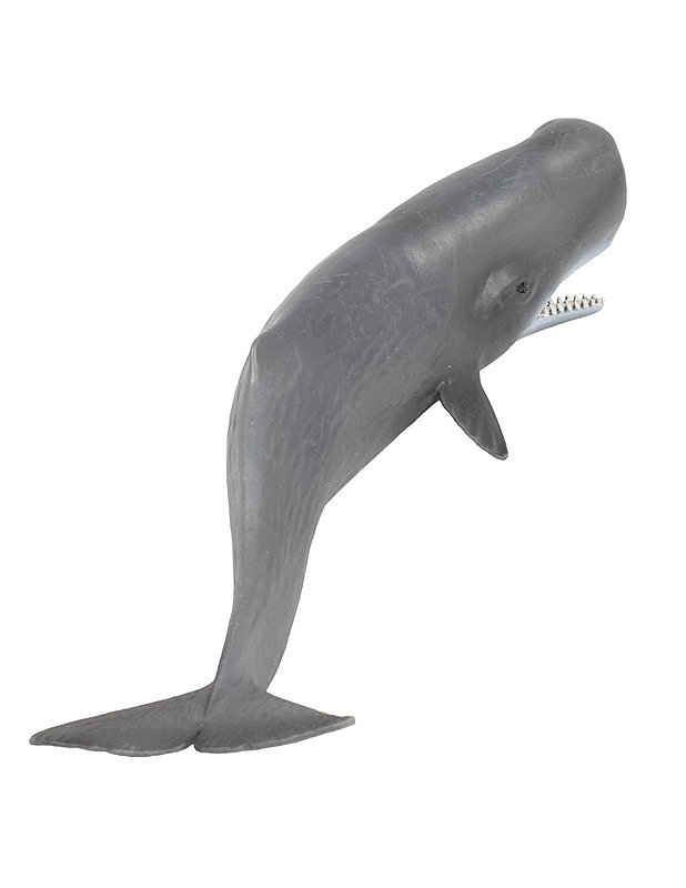 SCHLEICH kaskelotti figuuri - Lasten lelut - 10105510067 - 1