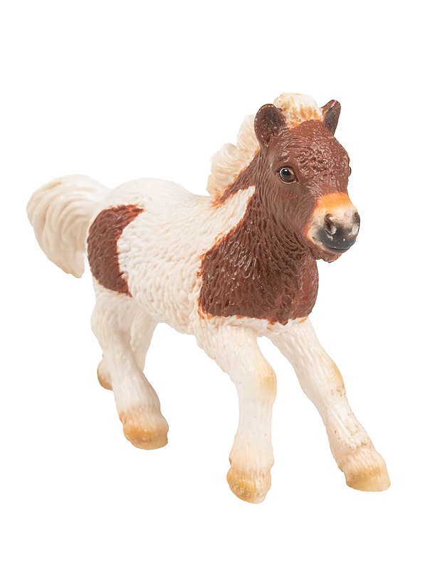 SCHLEICH Shetlanninponi varsa figuuri - Lasten lelut - 10105510094 - 0
