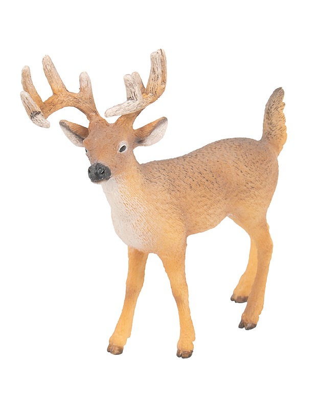 SCHLEICH Valkohäntäpeura figuuri - Lasten lelut - 10105510110 - 0