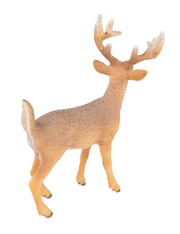 SCHLEICH Valkohäntäpeura figuuri - Lasten lelut - 10105510110 - 1