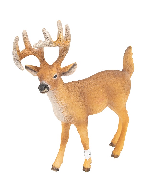 SCHLEICH Valkohäntäpeura figuuri - Lasten lelut - 10105510111 - 0