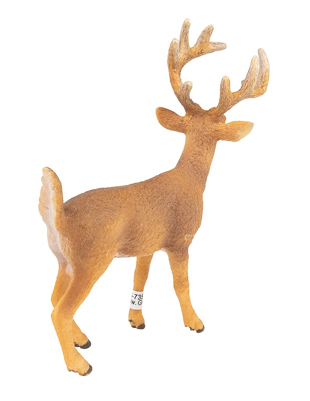 SCHLEICH Valkohäntäpeura figuuri - Lasten lelut - 10105510111 - 1