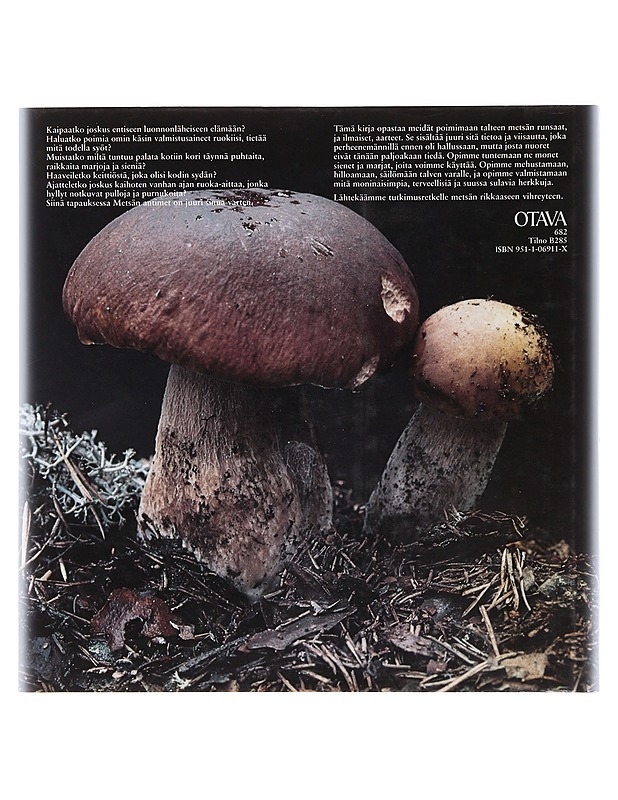 Metsän antimet - Falk, Lars - Ruokakirjat - 10105510178 - 1