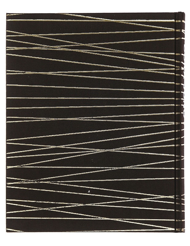 Dora Jung - Timonen, Pirkko - Elämäkerrat ja muistelmat - 10105510235 - 1