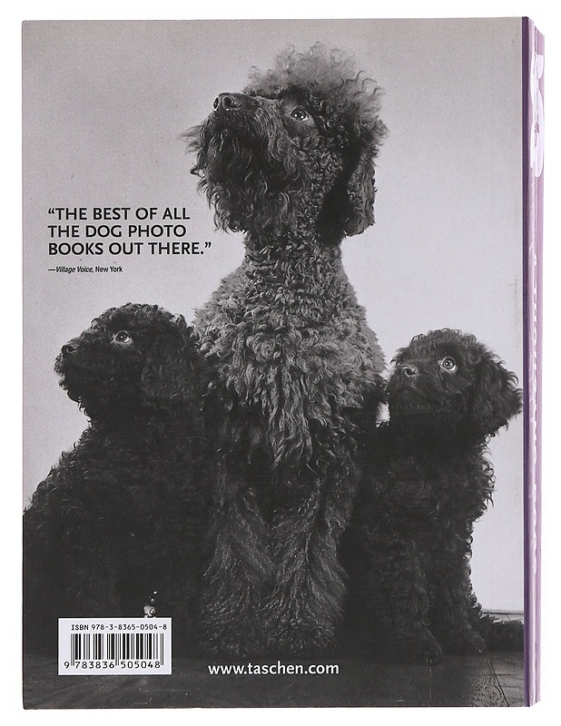 1000 dogs - Merritt, Raymond W. - Kirja lahjaksi - 10105510478 - 1