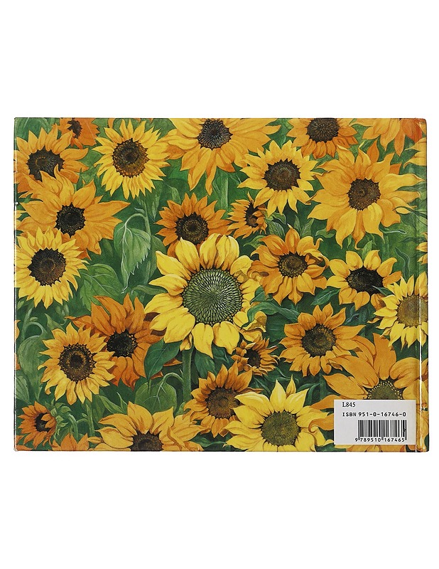 Aurinkokissat - Ivory, Lesley Anne - Lastenkirjat - 10105510523 - 1