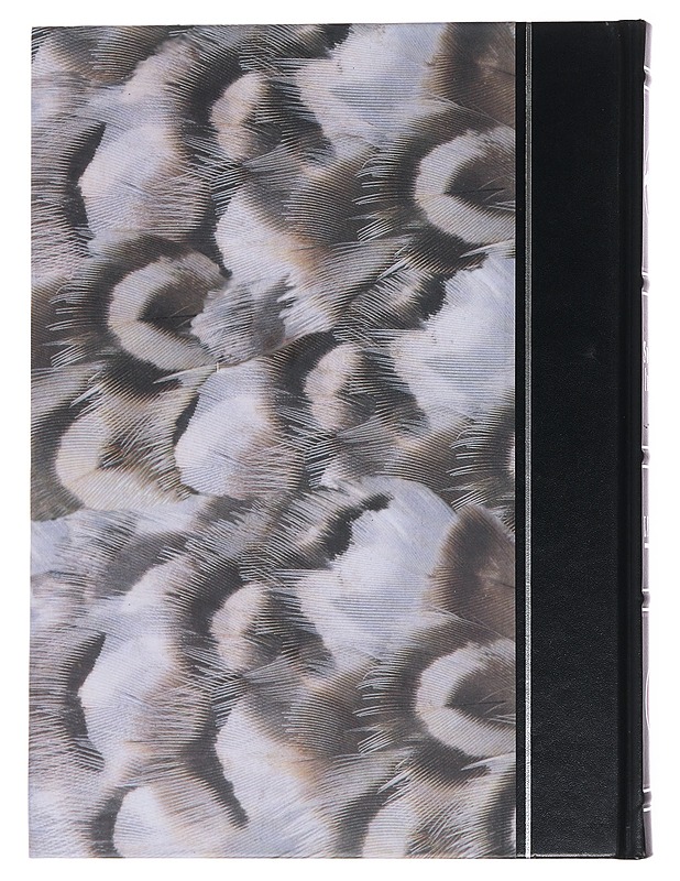 Suomen luonto: linnut 3 - Pertti Koskimies - Tietokirjat ja oppaat - 10105510553 - 1