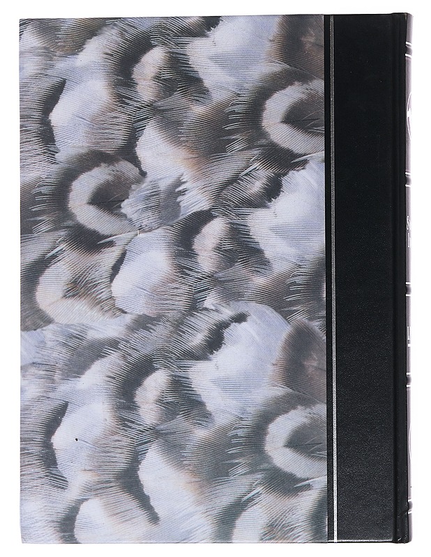 Suomen luonto: linnut 2 - Pertti Koskimies - Tietokirjat ja oppaat - 10105510562 - 1