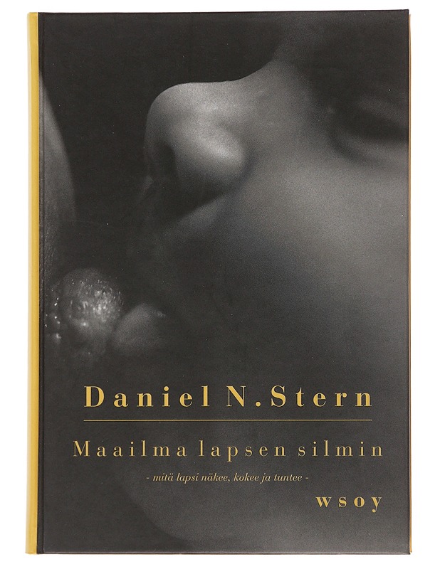 Maailma lapsen silmin - Stern, Daniel N. - Tietokirjat ja oppaat - 10105510861 - 0