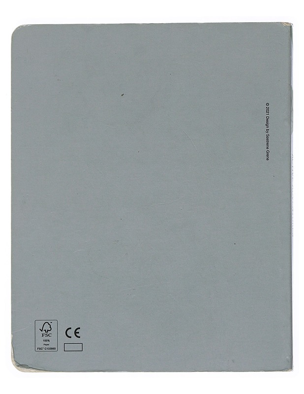 Active Adventures - Lastenkirjat - 10105510956 - 1