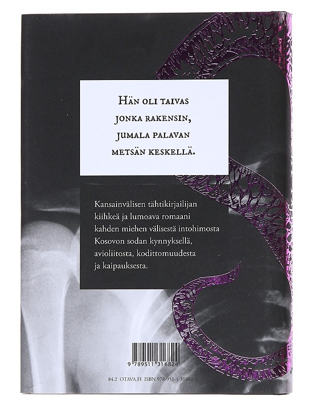Bolla - Pajtim Statovci - Romaanit ja novellit - 10105511022 - 1