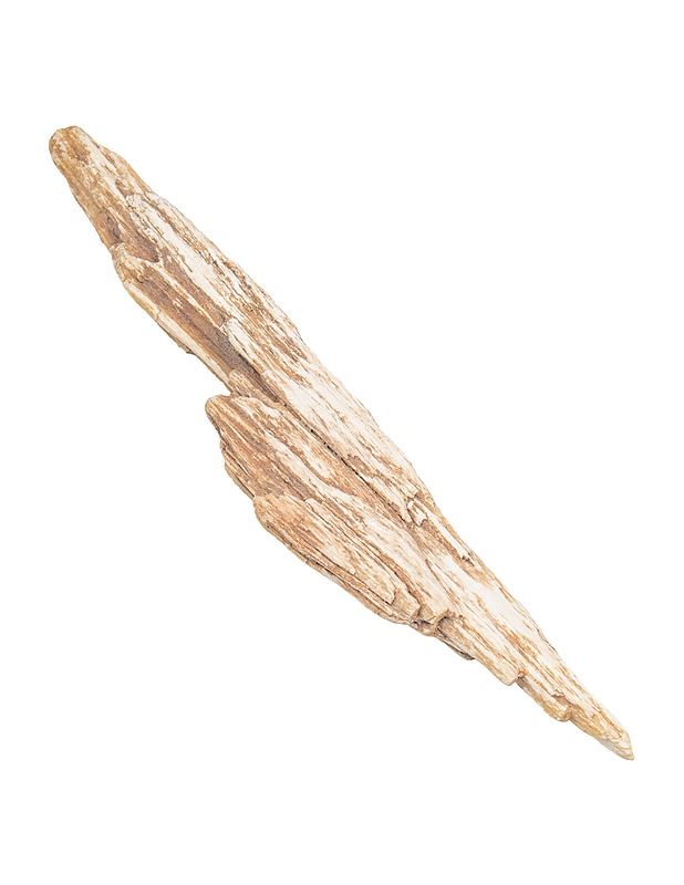 Pala kivettynyttä puuta - Muut sisustustavarat - 10105511078 - 1