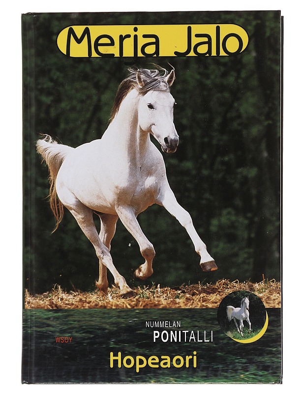 Hopeaori - Merja Jalo - Nuorten kirjat - 10105511471 - 0
