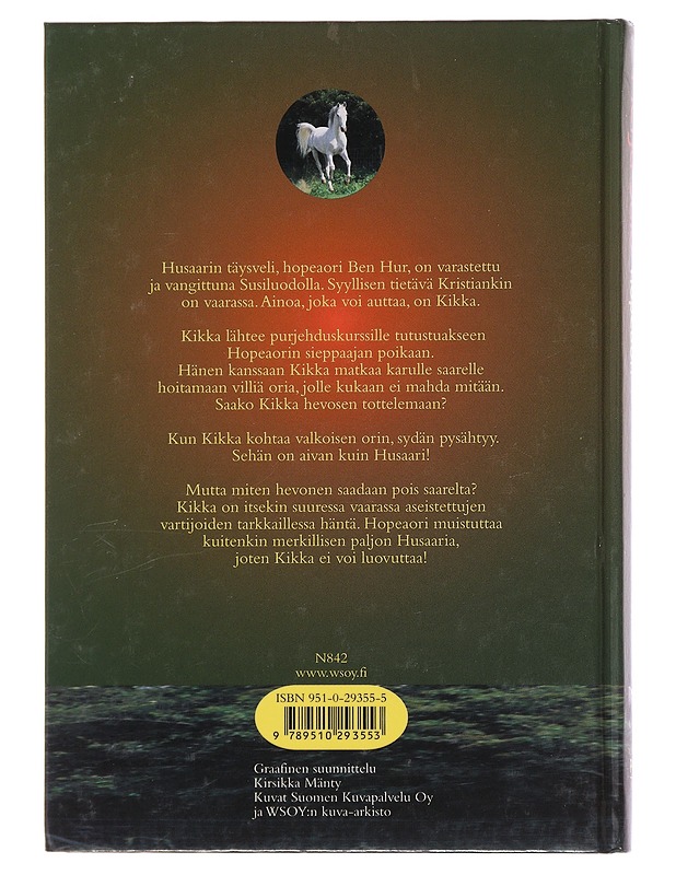 Hopeaori - Merja Jalo - Nuorten kirjat - 10105511471 - 1