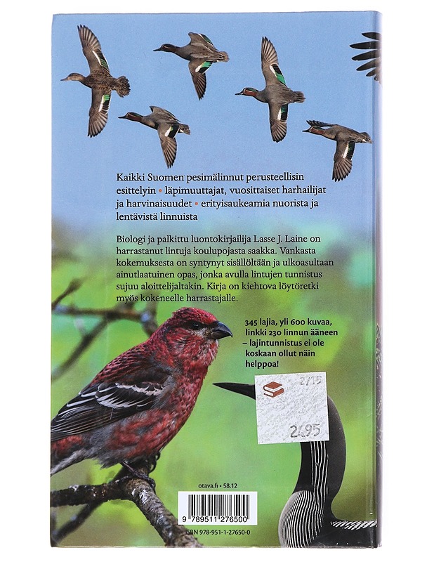 Suomen linnut : tunnistusopas - Laine, Lasse J. - Harrastekirjat - 10105511525 - 1