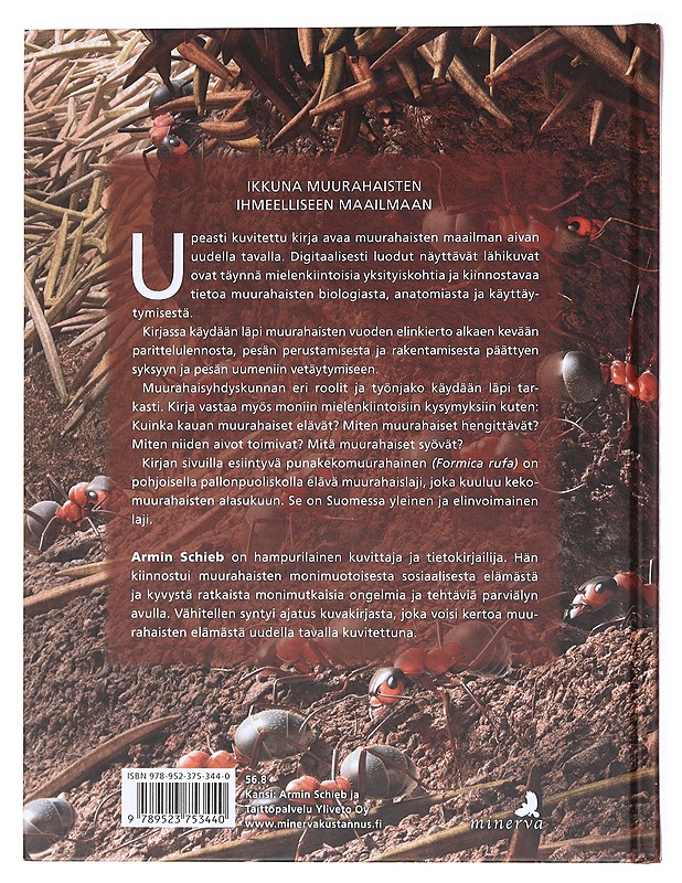 Koko perheen muurahaiskirja - Schieb, Armin - Lastenkirjat - 10105511682 - 1