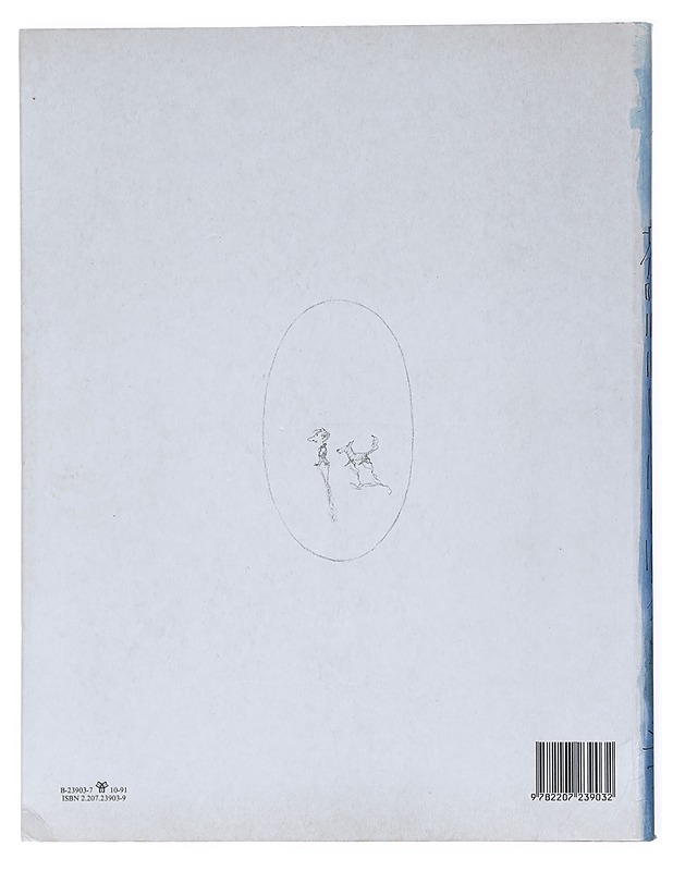 Âmes soeurs - Sempé - Romaanit ja novellit - 10105511827 - 1