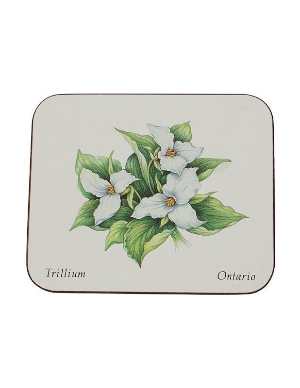 JASON lasinaluset, 6 kpl - Muut astiat - 10105511844 - 1