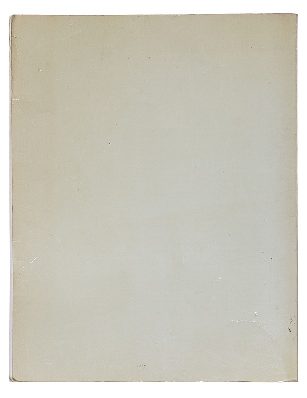 The Art Of Walt Disney ; From Mickey Mouse To The Magic Kindoms- Christopher Finch - Historiakirjat - 10105511908 - 1