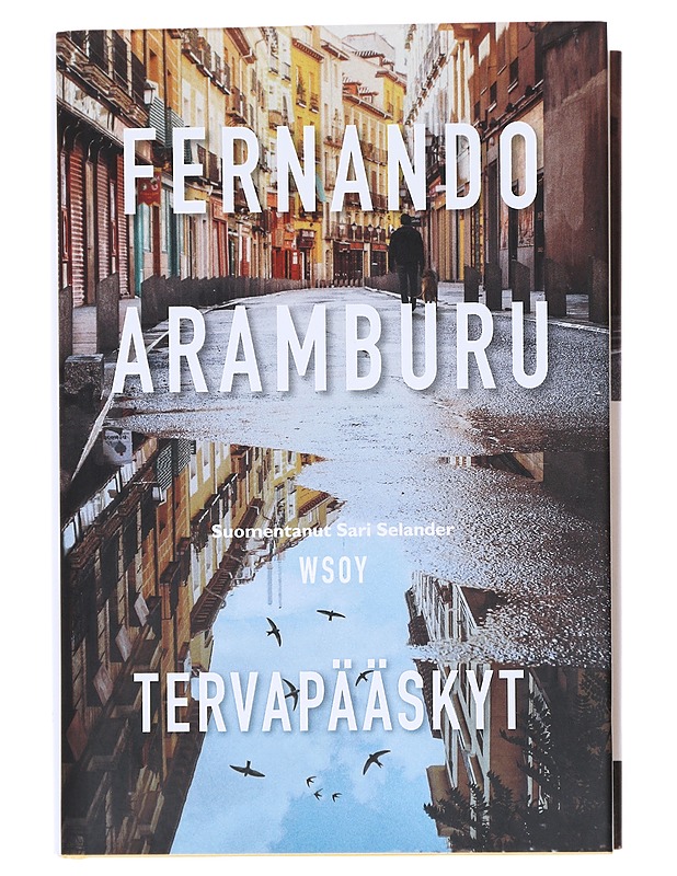 Tervapääskyt - Aramburu, Fernando - Romaanit ja novellit - 10105512012 - 0