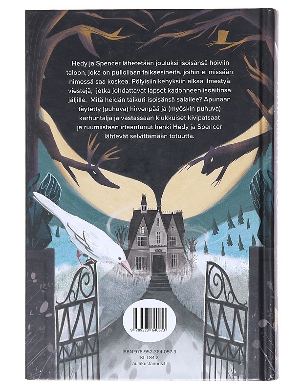 Taikuuden talo - Lish, Mikki - Lastenkirjat - 10105512346 - 1