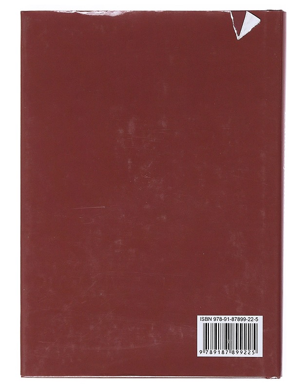 Evankeeljumit meänkielelä - Pohjanen, Bengt - Tietokirjat ja oppaat - 10105512367 - 1