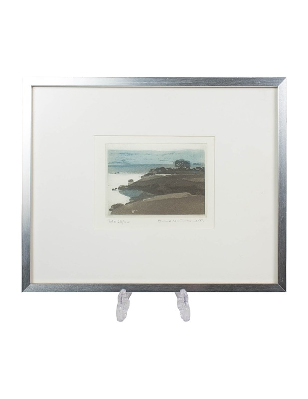 OSMO NISSINEN grafiikkavedos 28/30 - Sisustus - 10105512492 - 1