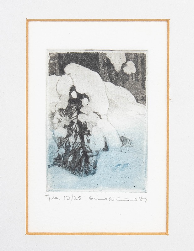 OSMO NISSINEN Lumen alla grafiikavedos 19/25 - Sisustus - 10105512611 - 0