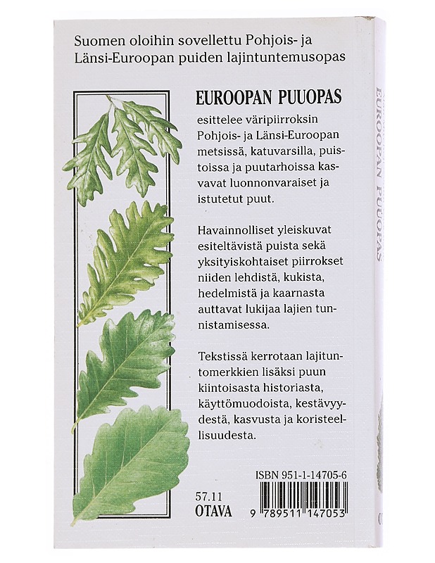 Euroopan puuopas - Mitchell, Alan - Tietokirjat ja oppaat - 10105512782 - 1