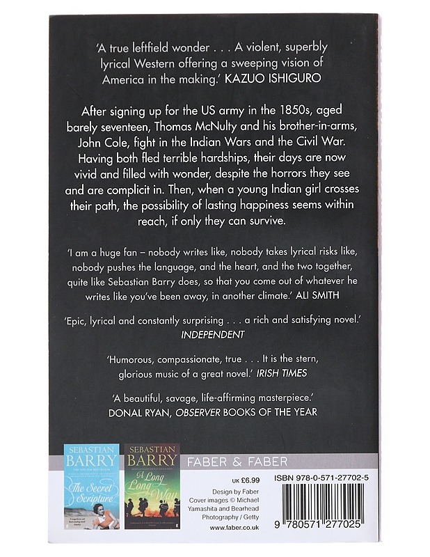 Days without end / a novel - Sebastian Barry - Romaanit ja novellit - 10105512799 - 1