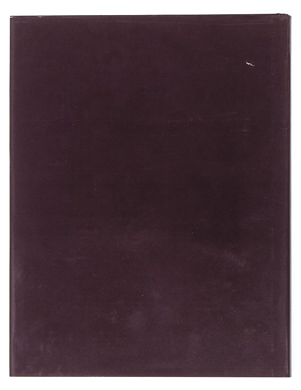 Makujen maailma. Rypäleestä viiniksi - Stuart Walton - Ruokakirjat - 10105512873 - 1