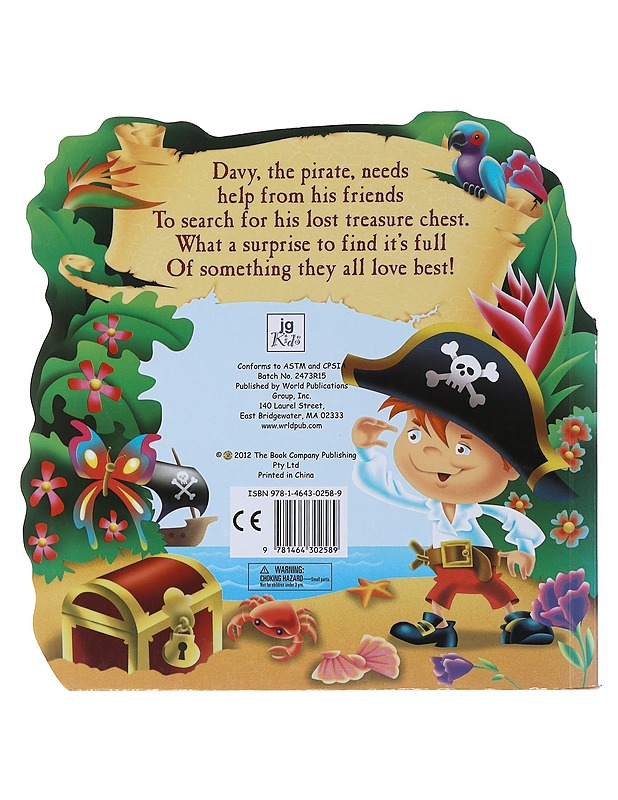 Pirate Treasure - Lastenkirjat - 10105513121 - 1